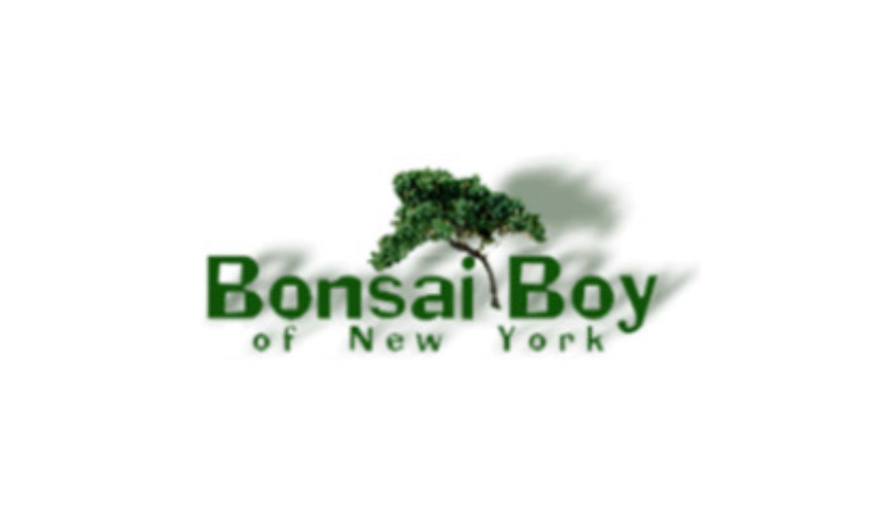 Bonsai Boy of New York